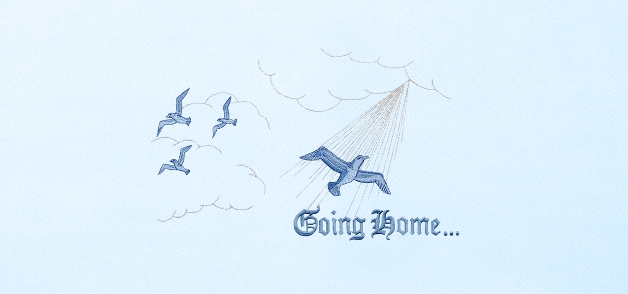 02 Going Home Blue Faux
